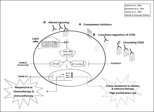 Figure 6. Proposed model of the development of RR in NHL B-cells. Among other mechanisms (18), alteration in the dynamics of cell signaling, via an elusive mechanism, is a potential mechanism for the development of resistance to rituximab therapy. Continuous long-term rituximab exposure results in the development of NHL B-cell clones that exhibit diminished CD20 surface expression. Compared with the parental cells, the clones exhibit significantly lower sensitivity to CDC-mediated killing; apoptosis induced by cross-linked rituximab; and higher levels of p-IκB-α, p-IKK, and p-ERK1/2 correlating with higher IKK and ERK1/2 kinase activities, leading to higher DNA-binding ability of AP-1 and NF-κB, and culminating in increased Bcl-2, Mcl-1, and Bcl-xL expression. Hyperactivation of these pathways will increase the proliferation rate of the clones; increase the levels of Bcl-2, Bcl-xL, Mcl-1, and the apoptosis threshold; and cause higher chemoresistance of the NHL B-cell clones. Specific pharmacologic inhibition of NF-κB and ERK1/2 pathways, or functional impairment of antiapoptotic Bcl-2 family members, averts the acquired chemoresistance phenotype of the RR clones, inducing the cells to undergo apoptosis in response to low levels of drugs.