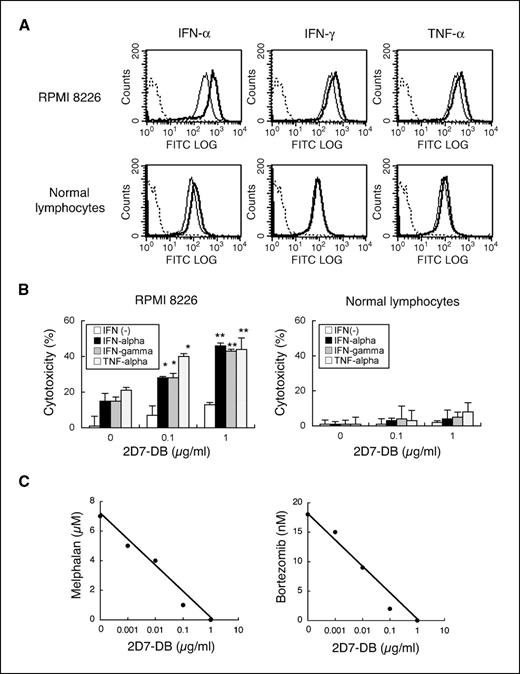 Figure 4. Effects of cytokines and chemotherapeutic agents on 2D7-DB–mediated cytotoxicity. A, effect of IFN-α, IFN-γ, or TNF-α on HLA-A expression of RPMI 8226 cells and normal lymphocytes. Cells were treated with IFN-α (100 units/mL), IFN-γ (100 units/mL), or TNF-α (20 μg/mL) for 48 h and stained with either FITC-labeled control mouse IgG (dotted line) or FITC-labeled 2D7 mAb. Cell surface expression of HLA-A was analyzed by flow cytometry. Bold lines, staining profiles of cytokine-treated cells; solid lines, staining profiles of untreated cells. B, enhancement of 2D7-DB–mediated cell death by cytokines. After treatment with IFN-α, IFN-γ, or TNF-α for 48 h, cells were cultured with 2D7-DB (1 μg/mL) for 24 h. Cytotoxicity was determined by WST-8 assay or trypan blue exclusion test. Columns, mean of triplicate determinants; bars, SD. The statistical significance of the combination effect of 2D7-DB and each cytokine was determined by a two-factor ANOVA with Scheffé's F test. *, P < 0.05; **, P < 0.01. C, isobologram analysis of combination effect of 2D7-DB and melphalan or bortezomib. RPMI 8226 cells were first treated with 2D7-DB for 6 h and incubated with melphalan or bortezomib for 24 h. Each IC50 value was obtained by a WST-8 cell proliferation assay. Line, estimated dose combinations for purely additive interactions.