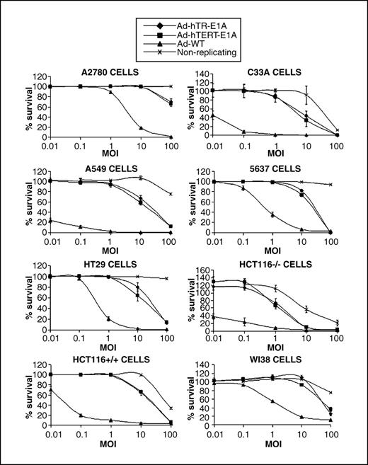 Figure 2. MTT assays of Ad-hTR-E1A, Ad-hTERT-E1A, Ad-WT, and nonreplicating adenovirus. Cells were incubated in the presence of a titration of each vector from 0.01 to 100 i.u. per cell for 7 d after seeding, at which time MTT reduction assays were done. Survival at each vector concentration was expressed as a percentage of the mock-infected control. All experiments were repeated at least thrice. Points, mean of three independent experiments; bars, SE.