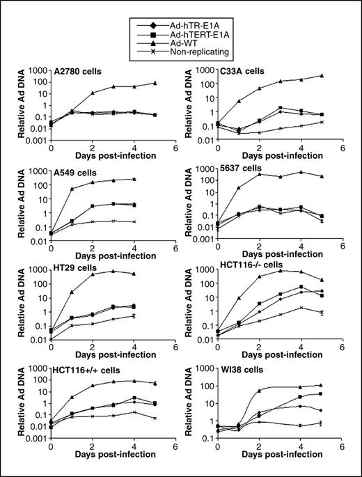 Figure 3. Replication kinetics of adenoviral DNA in infected cells. Cells were infected with 1 i.u. per cell of Ad-hTR-E1, Ad-hTERT-E1, Ad-WT, or nonreplicating control. One hour postinfection, and at 24-h periods thereafter for a further 4 to 5 d, cells were harvested and genomic DNA was extracted for QPCR analysis of penton and cellular GAPDH. The amount of penton DNA in each sample was normalized to GAPDH at each time point. All experiments were repeated twice. Representative scatter plot for each cell line. Points, mean penton/GAPDH of triplicate measurements in the QPCR; bars, SE.