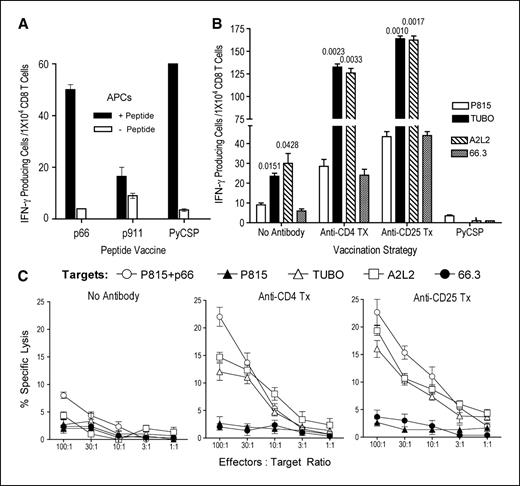 Figure 2. Vaccination of BALB-neuT mice with peptide p66 and CpG induces CD8 T-cell responses but requires anti-CD4 or anti-CD25 mAb treatment for tumor-specific reactivity. A, groups of 3 BALB-neuT female mice were vaccinated with 100 μg of either p66, p911, or PyCSP peptide emulsified in IFA and CpG as described in Materials and Methods, and 7 d later, the immune responses of CD8 T cells from pooled spleens to each corresponding peptide were evaluated using an IFN-γ ELISPOT assay. B, peptide p66 (or PyCSP tested as negative control) was evaluated for its capacity to induce CD8 T-cell responses to RNEU-expressing tumors (TUBO and A2L2) and RNEU-negative controls (P815 and 66.3). As indicated, some mice were treated with either anti-CD4 or anti-CD25 mAb before vaccination (see Materials and Methods for details). Numbers above the columns represent Ps of TUBO versus P815 or A2L2 versus 66.3. Columns, average of two to three wells containing 1 × 104 cells per well; bars, SD. C, cell-mediated cytotoxic responses of CD8 T cells derived from p66-immunized BALB-neuT mice with and without the indicated mAb therapy measured by the JAM assay (see Materials and Methods) against various [3H]thymidine-labeled target cells. Points, mean of triplicate determinations; bars, SD. Representative results of data obtained from two to three different experiments.