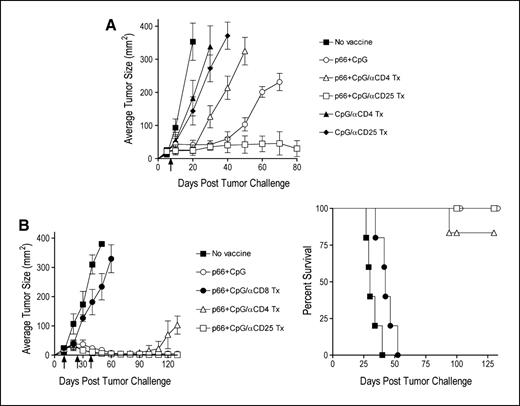 Figure 4. Therapeutic immunization with peptide p66 and CpG confers antitumor effect in BALB-neuT mice against TUBO. A, tumor growth curves for BALB-neuT mice (n = 5 per group) vaccinated with peptide p66 and CpG, with or without the indicated mAb treatment, were done 10 days after challenge with live TUBO cells. Arrows, day when the vaccine was administered. Points, average tumor size; bars, SD. B, similar experiment as described in (A), except that mice received two additional booster vaccinations (without mAb therapy) on days 24 and 38 after tumor challenge. Kaplan-Mayer curves are presented to indicate % survival for this experiment. These experiments were repeated twice with similar results.