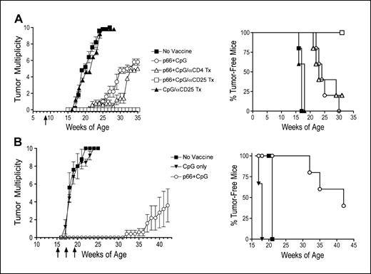 Figure 5. Vaccination with p66 and CpG results in prevention and delay of spontaneous mammary neoplasms in BALB-neuT mice. A, a single peptide immunization of BALB -neuT female mice (n = 5) given at 8 wks of age applied with and without mAb therapy. All animals were monitored for tumor appearance by manual examination of the mammary glands every 5 d. Measurable masses >2 mm diameter were regarded as tumors. Points, mean number of tumors in each group (tumor multiplicity; left) and % tumor-free mice (right); bars, SD. Arrows, day when the vaccine was administered. B, repeated peptide immunization of BALB-neuT female mice (n = 5) given at week 15 of age followed by two boosters (at 17 and 19 wks of age) in the absence of mAb therapy. Results were evaluated as described in (A). These experiments were repeated twice with similar results.