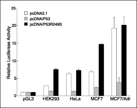 Figure 3. Luciferase assay results for the TSP50 promoter influenced by the wild-type and mutated p53 transgene in HeLa, HEK293 MCF7/Adr, and MCF7 cells. Empty, gray, and black columns, luciferase activity driven by the TSP50 promoter without or with p53 or p53R249S influence in the host cells, respectively. The activities were normalized with the basal level enzymatic activities generated by the empty vector, protein concentrations, and transfection efficiencies. Average of four independent experiments. Bars, SD.