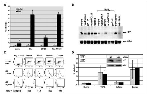 Figure 2. Effects of wortmannin and U0126 on p27 expression and apoptosis. A, effects of wortmannin (WM) and U0126 on TRAIL-induced apoptosis. 253J B-V cells were incubated for 24 h in serum-free medium with 2 μmol/L wortmannin, 10 μmol/L U0126, or both with or without 25 ng/mL TRAIL, and DNA fragmentation was measured by propidium iodide/FACS. All combinations were statistically significant compared with single agents alone (P < 0.03). Columns, mean (n = 3); bars, SD. B, effects of wortmannin, U0126, and gefitinib on p27kip1 protein expression. Cells were incubated for 24 h with or without 1 μmol/L gefitinib, 1 μmol/L wortmannin, 10 μmol/L U0126, 10 nmol/L bortezomib (BZ), or wortmannin plus U0126 in the presence or absence of 25 ng/mL TRAIL for 24 h in serum-free medium, and p27kip1 protein levels were analyzed in total cell lysates by immunoblotting. C, quantitative analysis of p27 expression in apoptotic cells. 253J B-V cells were incubated with 1 μmol/L gefitinib, 25 ng/mL TRAIL, or both for 12 h in serum-free medium, and p27 expression and DNA fragmentation were measured by two-color FACS as described in Materials and Methods. Representative histograms. Subdiploid cells are indicated by the gates (left side of X axes). Note that the only significant subdiploid peaks are found in the p27-negative cells. PI, propidium iodide. D, effect of p27 silencing on apoptosis induced by gefitinib plus TRAIL. 253J B-V cells were transiently transfected with a p27-specific siRNA construct or an off-target control construct (against luciferase) for 48 h. The cells were then incubated with 1 μmol/L gefitinib, 25 ng/mL TRAIL, or both for 24 h in serum-free medium, and DNA fragmentation was analyzed by propidium iodide/FACS. Inset, efficient p27 silencing was confirmed by immunoblotting. Columns, mean (n = 3); bars, SD.