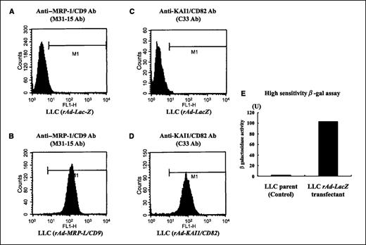 Figure 1. Adenoviral transduction of LLC cells with MRP-1/CD9, KAI1/CD82, and LacZ. Flow cytometric analysis showed that LLC cells were negatively stained with anti–MRP-1/CD9 mAb M31-15 (A) and anti-KAI1/CD82 mAb C33 (C). After infected with adenoviruses encoding MRP-1/CD9 and KAI1/CD82 cDNA, LLC cells turned positive for MRP-1/CD9 (B) and KAI1/CD82 (D), respectively. β-Gal activity was measured from both untreated LLC cells and LLC cells infected with adenovirus encoding LacZ gene. E, significantly high activity of β-gal was detected in LacZ-transduced LLC cells, confirming good transduction efficiency of adenoviral vectors.