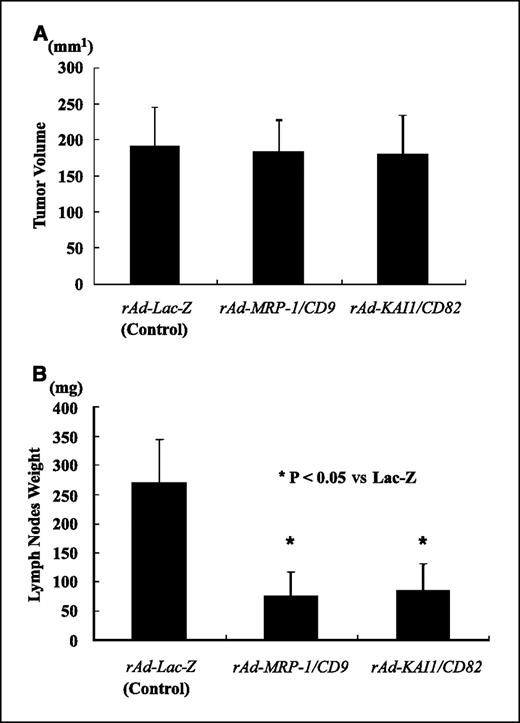 Figure 2. Tumor volumes and weights of mediastinal lymph nodes resected from the mice implanted with LLC cells preinfected with rAd-MRP-1/CD9, rAd-KAI1/CD82, and rAd-LacZ were investigated (n = 10 in each group) on day 21 after the implantation of LLC cells (6 × 103/left lung). LLC cells were adenovirally transfected with MRP-1/CD9, KAI1/CD82, and LacZ before the implantation, which has already been shown in Fig. 1. A, about the primary tumor volumes of LLC cells, there was no significant difference among β-gal transfectant group, MRP-1/CD9, and KAI1/CD82 group. B, on the other hand, mediastinal lymph node weights of LLC cells transfected with MRP-1/CD9 and KAI1/CD82 were significantly lighter than both those of control group and LacZ transfectant group, which strongly suggests that the transduction of these tetraspanins into LLC cells has reduced the lymph node metastasis. Bars, SD.