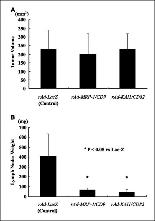Figure 3. Effect of intratracheal adenoviral transfection on the primary tumor volumes and weights of mediastinal lymph nodes on day 21 after intrapulmonary implantation of LLC cells. These recombinant adenoviral vectors were intratracheally introduced on days 3, 6, and 9 after the implantation (n = 10 in each group). There was no significant difference between any groups in the primary tumor volumes (A), but great reduction in mediastinal lymph node metastasis was observed in MRP-1/CD9-transduced and KAI1/CD82-transduced groups in comparison with both control group and β-gal transfection group (B). The results were very close to those with adenoviral pretreatment experiments shown in Fig. 2, which suggests that three-time intratracheal gene delivery was efficient enough for treatment. Bars, SD.