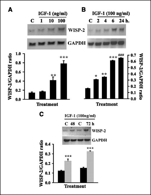 Figure 2. Dose- and time-dependent effects of IGF-1 on WISP-2/CCN5 mRNA expression in MCF-7 cells. A to C, exponentially growing, ER-positive, noninvasive MCF-7 cells were serum starved for 3 d and exposed to different doses of IGF-1 for 24 h or IGF-1 (100 ng/mL) for different time points. Total RNA was extracted and analyzed by RNA blotting using nonradioactive digoxigenin-labeled, PCR-generated probes for WISP-2/CCN5 or GAPDH. Columns, means of three different experiments; bars, SD. *, P < 0.05; **, P < 0.01; ***, P < 0.002; ###, P < 0.001, versus control.