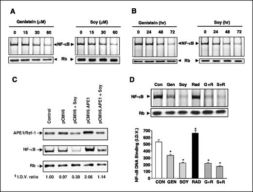 Figure 4. Soy isoflavones down-regulate constitutively active NF-κB and inhibit radiation-induced activation of NF-κB in PC-3 cells. A, dose response of genistein or soy isoflavones–induced inhibition of NF-κB DNA-binding activity. PC-3 cells were treated with 0, 15, 30, and 60 μmol/L soy or genistein for 72 h. B, time course of genistein or soy isoflavones–induced inhibition of NF-κB DNA-binding activity. PC-3 cells were treated with 30 μmol/L genistein or soy isoflavones for 24, 48, and 72 h. C, effect of overexpression of APE1/Ref-1 on NF-κB activity. Cells were transfected either with empty plasmid (pCMV6) or with APEX nuclease 1 cDNA (pCMV6.APE1) for 48 h and then treated with 60 μmol/L soy for 24 h. Nuclear extracts were processed for APE1/Ref-1 Western blot analysis or NF-κB DNA binding by EMSA. Data from untreated cells (control) or transfected cells not treated with soy are also shown. §, I.D.V. ratio was calculated by dividing the band density of NF-κB by that of retinoblastoma and normalized to the ratio of control. D, combined soy/radiation treatment of PC-3 cells. PC-3 cells were pretreated with 30 μmol/L genistein or soy isoflavones for 72 h followed by 3 Gy radiation and then processed at 1 h postradiation. In (A) to (D), nuclear extracts were prepared from treated cells and subjected to EMSA for evaluation of NF-κB DNA-binding activity. Western immunoblotting for retinoblastoma protein was done as an internal loading control. D, columns, mean integrated density value of the band per microgram of protein loaded; bars, SE. *, value statistically significant from control at P < 0.05.