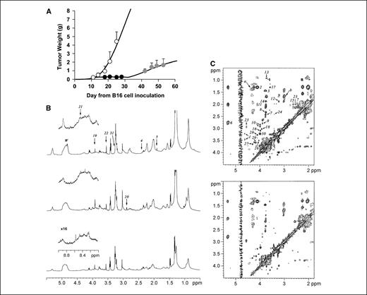Figure 1. A to C, growth curves and typical one-dimensional and two-dimensional 1H NMR spectra of B16 melanoma tumors. A, growth curves of untreated (white circles) and CENU-treated tumors during the growth inhibition phase to treatment (black circles) and the growth recovery phase (gray circles). CENU was given intratumorally at days 11, 14, and 18. Bars, SD. B, one-dimensional 1H NMR spectra. Bottom, untreated tumor; middle, growth inhibition phase; top, growth recovery phase. Inset, spectral reduction for the formate area. 4, succinate; 5, acetate; 19, tCr (CH2 group); 20, dimethylglycine (CH3 group); 21, formate; 22, glycine; 31, phosphatidylcholine N-(CH3)3 group (buried under taurine CH2 and water-soluble phospholipid derivative signals); W, residual water signal. C, two-dimensional 1H-1H NMR spectra. Bottom, untreated tumor; top, growth inhibition phase. a, alanyl; b, lysyl; 1, Glc; 2, lactate; 3, alanine; 6, PUF; 7, glutamine; 8, glutamate; 9, aspartate; 10, asparagine; 11, proline; 12, arginine; 13, leucine; 14, lysine; 15, methionine; 16, phenylalanine; 17, threonine; 18, tyrosine; 23, GSx; 24, hypotaurine; 25, taurine; 26, choline; 27, glycerophosphocholine; 28, glycerophosphoethanolamine; 29, phosphocholine; 30, phosphoethanolamine.