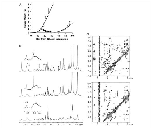 Figure 2. A to C, growth curves and typical one-dimensional and two-dimensional 1H NMR spectra of 3LL pulmonary carcinoma. A, growth curves of untreated (white squares) and CENU-treated tumors during the growth inhibition phase (black squares) and the growth recovery phase (gray squares). CENU was given intratumorally at days 11, 14, and 18. Bars, SD. B, one-dimensional 1H NMR spectra. Bottom, untreated tumor; middle, growth inhibition phase; top, growth recovery phase. Inset, spectral reduction for the formate area. 4, succinate; 5, acetate; 19, tCr (CH2 group); 20, dimethylglycine; 21, formate; 22, glycine; 31, phosphatidylcholine; W, residual water signal. C, two-dimensional 1H-1H NMR spectra. Bottom, untreated tumor; top, growth inhibition phase. 1, βGlc; 2, lactate; 3, alanine; 6, PUF; 7, glutamine; 8, glutamate; 9, aspartate; 10, asparagine; 11, proline; 12, arginine; 13, leucine; 14, lysine; 15, methionine; 16, phenylalanine; 17, threonine; 18, tyrosine; 23, GSx; 24, hypotaurine; 25, taurine; 26, choline; 27, glycerophosphocholine; 28, glycerophosphoethanolamine; 29, phosphocholine; 30, phosphoethanolamine.