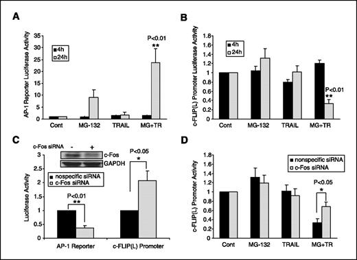 Figure 3. MG-132 combined with TRAIL increases the AP-1 activity and decreases the c-FLIP(L) promoter activity. Columns, means from four independent experiments; bars, SD. *, P < 0.05; **, P < 0.01. AP-1 reporter luciferase activities (A) and c-FLIP(L) promoter luciferase activities (B) in PC3-TR cells after treatment with MG-132 (1 μmol/L), TRAIL (100 ng/mL), or MG-132 combined with TRAIL for 4 or 24 h. Luciferase activity of control samples without treatment were set at 1, and fold increase or fold decrease are represented accordingly. C, PC3-TR cells were transfected with c-Fos siRNA for 48 h and then assessed for AP-1 reporter luciferase activities or c-FLIP(L) promoter luciferase activities. Western blot shows successful reduction of c-Fos after siRNA-c-Fos treatment. D, c-FLIP(L) promoter luciferase activities. PC3-TR cells were transfected with c-Fos siRNA for 48 h, and then treated with MG-132 (1 μmol/L), TRAIL (100 ng/mL), or MG-132 combined with TRAIL for 24 h.