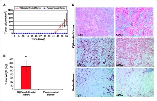 Figure 5. Bone marrow from estrogen-treated mice is sufficient to promote tumor growth. Bone marrow from placebo- or 17β-estradiol–treated mice was harvested, co-mixed with HMLE-Raslo cells, and injected into untreated nulliparous mice. Tumor growth curves (A) and tumor weight (B) 8 wks following injection of 250,000 HMLE-Raslo cells co-mixed with 1 × 106 bone marrow cells. C, histologic analysis of bone marrow co-mixing experiment. Serial sections of tumor tissues stained with H&E and Masson's trichrome (COL1) and immunohistochemistry for LT and αSMA reveal significant stromal contribution within the tumors from HMLE-Raslo cells mixed with 17β-estradiol–treated bone marrow. In contrast, injection of HMLE-Raslo cells mixed with placebo-treated bone marrow exhibit viable LT-positive cells with rare αSMA-positive stromal cells. Columns, mean; bars, SE. *, statistical significance determined as described in Materials and Methods.