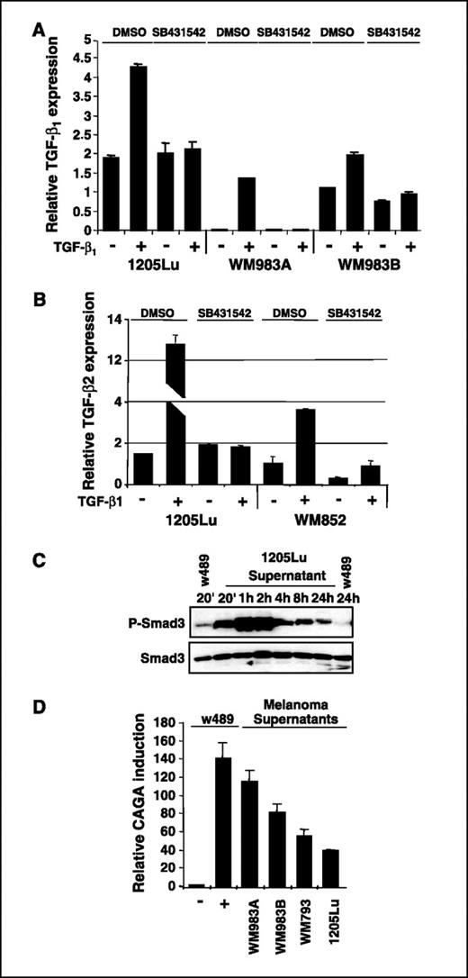 Figure 2. Subconfluent melanoma cell cultures were preincubated for 6 h in medium containing 1% serum before stimulation with TGF-β1 (10 ng/mL) in the absence or presence of 5 μmol/L SB431542 (or DMSO) added 1 h before addition of the growth factor. Total RNA was analyzed by quantitative RT-PCR with primers specific for TGF-β1 (A) or TGF-β2 (B). Values are corrected for cyclophilin A mRNA levels in the same samples. C, subconfluent WI-26 human lung fibroblast cultures were incubated for 24 h in medium containing 0% serum, following which an equivalent volume of either W489 unconditioned or 1205Lu melanoma cell conditioned medium was added. WI-26 cell layers were then lysed for Western analysis with specific antibodies directed against phospho-Smad3 and Smad3. D, subconfluent WI-26 fibroblast cultures were transfected with 0.4 μg (CAGA)9-luc vector together with 0.2 μg pRL-TK Renilla luciferase expression vector in W489 medium without serum. Four hours post-transfection, cultures were left untreated (−) or stimulated with TGF-β (10 ng/mL) (+) or an equivalent volume of various melanoma cell conditioned medium. Luciferase activities were measured in cell extracts 20 h later. Results are expressed as relative reporter activation. Columns, mean of three independent experiments; bars, SE.