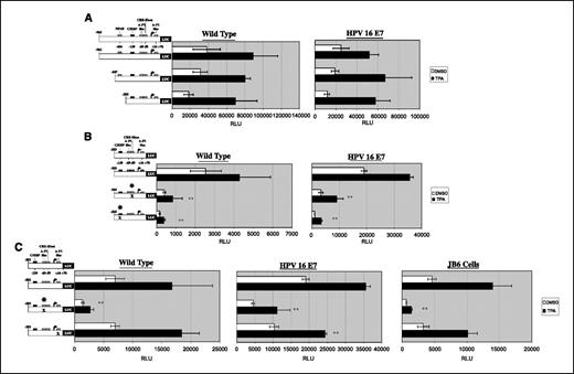 Figure 3. CRE/Ebox, C/EBP, and AP-1–like sites, but not NFκB sites, are required for Cox-2 promoter activation. Wild-type and E7 transgenic primary keratinocytes were cultured in fully supplemented Epilife medium containing 0.05 mmol/L CaCl2 and treated with TPA (10 ng/mL) or DMSO in Epilife medium containing 50% supplements and 0.05 mmol/L CaCl2 for 22 h. Transformation-sensitive JB6 cells were cultured in Eagle's MEM (EMEM) containing 4% FBS and treated with TPA (10 ng/mL) or DMSO in EMEM containing 0.2% FBS for 22 h. The relative luciferase activity of a series of mouse Cox-2 promoter reporter deletion and point mutant constructs was measured in the presence or absence of TPA. A, all sequences upstream of −203, including the highly conserved NFκB site, are not required for full TPA-induced promoter reporter activity. The CRE and C/EBP sites are, however, required for basal and TPA-induced activity (B). An AP-1–like site at position −69 is also required for both basal and TPA-induced promoter reporter activity in primary keratinocytes and transformation-sensitive JB6 cells (C). ×, point mutations. Columns, averages of six wells and representative of three experiments. Statistical significance was determined using a two-tailed paired t test. **, P < 0.01.