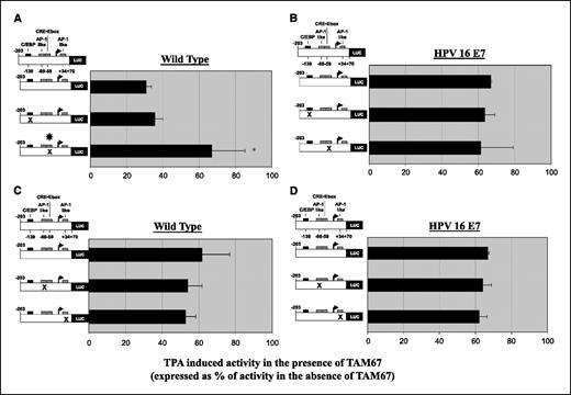 Figure 4. CRE/Ebox is required for suppression of Cox-2 promoter activation by dominant-negative c-Jun (TAM67) in wild-type primary keratinocytes. The relative luciferase activity of mouse Cox-2 promoter reporter deletion and point mutant constructs was measured in the presence of TPA and the presence or absence of transgenic TAM67. Wild-type (A and C) and E7 transgenic (B and D) primary keratinocytes were cultured, and luciferase activity was measured after 22 h of TPA treatment. ×, point mutations. Columns, averages of six wells and representative of three experiments. *, P < 0.05. The 100% value is assigned to the TPA-induced activity of each construct in the absence of TAM67. This 100% value represents a different average relative luciferase unit (RLU) value for each construct (see Fig. 3).