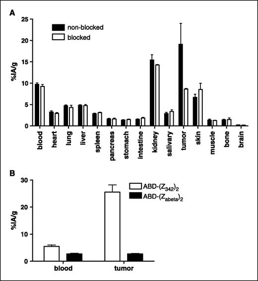 Figure 2. Specificity of 177Lu-CHX-A″-DTPA-ABD-(ZHER2:342)2 uptake in HER2-expressing xenografts. A, one group of animals was preinjected with 335 μg of nonlabeled ABD-(ZHER2:342)2 to saturate HER2 receptors 45 min before injection of radiolabeled conjugate. All animals were injected with 20 μg 177Lu-CHX-A″-DTPA-ABD-(ZHER2:342)2 and dissected 24 h after injection. Significant difference (P < 0.05) between blocked and nonblocked groups was only observed in tumors. Columns, mean (n = 4); bars, SD. B, one group of animals was injected with 20 μg of nonspecific 177Lu-CHX-A″-DTPA-ABD-(Zabeta)2 Affibody molecule and dissected 48 h after injection. Significant difference (P < 0.05) between specific and nonspecific Affibody molecules were observed both in blood and tumors. Columns, mean (n = 4); bars, SD.