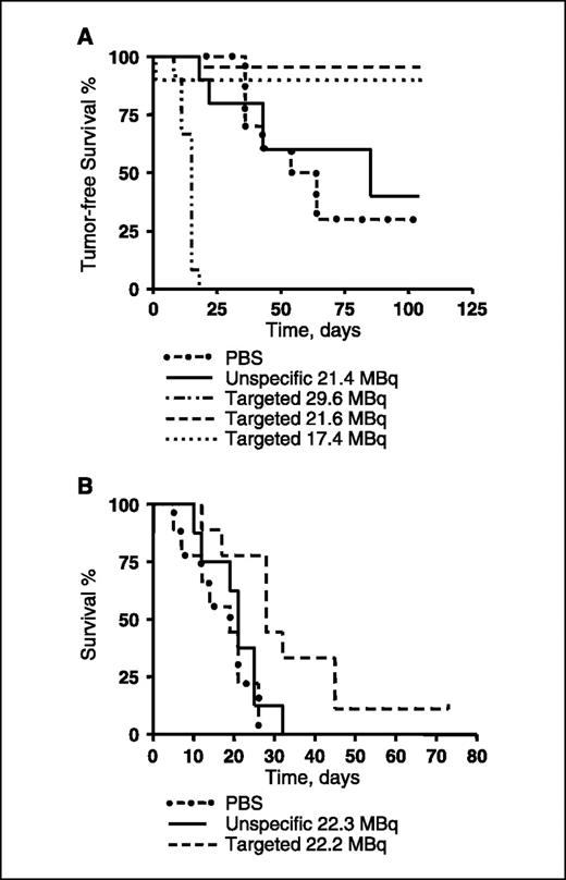 Figure 4. A, tumor-free survival of BALB/c nu/nu mice with small established s.c. SKOV-3 tumors versus time. Animals were treated with a single injection of 177Lu-CHX-A″-DTPA-ABD-(ZHER2:342)2 (17.3, 21.6, or 29.6 MBq). Animals in control groups were treated either with PBS or with 21.4 MBq of nonspecific 177Lu-CHX-A″-DTPA-ABD-(Zabeta)2. B, survival until euthanasia criteria of BALB/c nu/nu mice with s.c. LS174T tumors versus time. Animals were treated with a single injection of 177Lu-CHX-A″-DTPA-ABD-(ZHER2:342)2 (22.2 MBq). Animals in control groups were treated either with PBS or with 22.3 MBq of nonspecific 177Lu-CHX-A″-DTPA-ABD-(Zabeta)2.