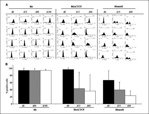 Figure 4. Rapid transgene expression silencing of the retinoblastoma reporter gene lacking the CTCF binding site. A, results of FACS analysis for GFP expression over 140 days for the Rb promoter and 40 days for RbΔCTCF and RbmutE promoter constructs of continuous cell culture in the absence of selection. Four representative independent lines from a total of eight are represented. B, Graph that summarize epigenetic silencing over time. Each graph represents the average of the transgene-expressing cells on the same culture days (n = 8 independent clones). For RbmutE construct 22 independent lines were analyzed and plotted. Notice that the SE is large for the RbΔCTCF and RbmutE constructs on days 15 and 40, consistent with a variegated phenotype.