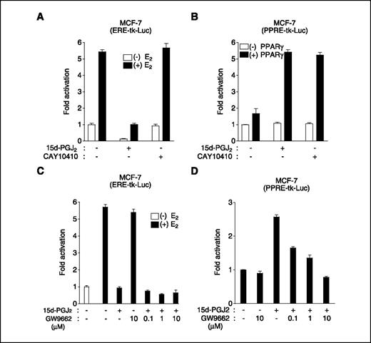 Figure 2. Inhibition of ERα transcriptional activity by 15d-PGJ2 through PPARγ-independent mechanism. A, transactivity of ERα is inhibited by 15d-PGJ2 but not by the synthetic PPARγ ligand CAY10410. B, PPARγ-dependent transactivation is stimulated by both 15d-PGJ2 and CAY10410. C, GW9662, a selective PPARγ antagonist, does not reverse 15d-PGJ2–induced repression of ERα transcriptional activity, whereas it strongly reverses the 15d-PGJ2–induced activation of PPARγ-dependent transactivation (D). MCF-7 cells were transfected with ERE-tk-Luc (A and C) and PPRE-tk-Luc together with expression vector for PPARγ (B and D). After 24 h, cells were treated for 5 h with 10 μmol/L 15d-PGJ2 or CAY10410 and indicated concentration of GW9662 together with or without E2 (100 nmol/L) as indicated.