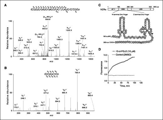Figure 4. Cys227 and Cys240 within the COOH-terminal zinc finger of ERα DBD are identified as targets for covalent modification by 15d-PGJ2. A and B, tandem mass spectra of the 15d-PGJ2–modified ERα peptides SIQGHNDYMC221PATING*C227TIDK (A) and SC237QA*C240R (B). *C, 15d-PGJ2–modified cysteine residues. C, schematic representation of two zinc fingers of ERα DBD (180–263 amino acids). Arrowheaded Cs in bold, Cys227 and Cys240 within the COOH-terminal zinc finger of ERα DBD modified by 15d-PGJ2. D, disruption of ERα zinc finger function by 15d-PGJ2. Time-dependent release of zinc ion from the purified ERα protein treated with 15d-PGJ2 or DMSO was measured by zinc finger assay using zinc selective fluorescent probe (TSQ).