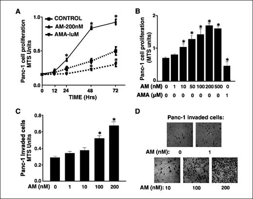Figure 2. Exogenous adrenomedullin stimulates pancreatic cancer cell proliferation and invasion in vitro. A, adrenomedullin stimulates pancreatic cancer cell growth in a time-dependent manner. Wild-type Panc-1 cells (1,000 cells) were plated on 96-well plates and adrenomedullin (200 nmol/L) or AMA (1 μmol/L) was added to the cells and cell numbers were estimated at 0, 12, 24, 48, and 72 h by MTS assay. Points, mean for three experiments; bars, SE; *, P < 0.05 versus control. B, adrenomedullin stimulates pancreatic cancer cell growth in a concentration-dependent manner. Wild-type Panc-1 cells (5,000 cells) were plated on 96-well plates and adrenomedullin (1–500 nmol/L) or AMA (1 μmol/L) was added to the cells and cell numbers were estimated at 48 h by MTS assay. Columns, mean for three experiments; bars, SE; *, P < 0.05 versus control. C, adrenomedullin stimulates pancreatic cancer cell invasion in a concentration-dependent manner. Wild-type Panc-1 cells (20,000 cells) were added into Biocoat Matrigel invasion upper chamber and different concentrations of adrenomedullin (1–200 nmol/L) were added into the lower chamber, and after 12 h, noninvaded cells in the upper membrane were removed and cells invading into the lower membrane were quantified photometrically by adding MTS reagent 1 h before taking the reading. DMEM containing 0.5% serum was used as control. Columns, mean for three experiments; bars, SE; *, P < 0.05 versus control. D, invading cells in three adjacent microscope fields for each membrane (original magnification, ×20).
