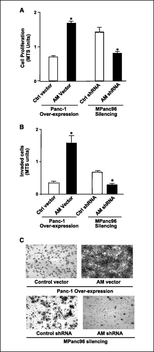Figure 4. Cellular expression levels of adrenomedullin correlate with pancreatic cancer growth and invasion both in vitro and in vivo. A, Panc-1 cells stably transfected with control or adrenomedullin expression vector and MPanc96 cells stably transfected with control or adrenomedullin shRNA (5,000 cells) were plated on 96-well plates and cell numbers were estimated at 48 h by MTS assay. Columns, mean for three experiments; bars, SE; *, P < 0.05 versus control. B, Panc-1 cells stably transfected with control or adrenomedullin expression vector and MPanc96 cells stably transfected with control or adrenomedullin shRNA vectors were added into Biocoat Matrigel invasion upper chamber and cells invading the lower chamber were estimated using MTS reagent. Columns, mean for three experiments; bars, SE; *, P < 0.05 versus control. C, invading cells in three adjacent microscope fields for each membrane (original magnification, ×20).