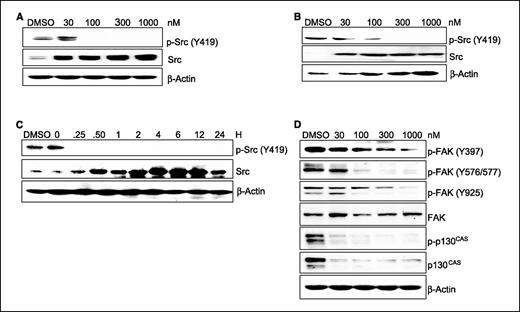Figure 2. Dasatinib inhibits Src activation and downstream signaling in whole cells. A and B, SaOS-2 and U-2 OS cells were treated with dasatinib in a dose-dependent manner for 6 h. Cell-free extracts were immunoblotted with antibodies specific to phosphorylated Src (Y419) and total Src. C, U-2 OS cells were treated with 100 nmol/L dasatinib in a time-dependent manner. Western blot analysis was done as described. DMSO was used as a vehicle control, and β-actin was immunoblotted for as a loading control in all experiments. D, dasatinib specifically blocks tyrosyl phosphorylation of FAK (Y576/Y577 and Y925) and p130CAS (Y410) but not FAK (Y397). SaOS-2 cells were treated with dasatinib for 6 h in a dose-dependent manner. Cell-free extracts were immunoblotted with antibodies specific to phosphorylated FAK (Y397, Y576/Y577, and Y925; p-FAK), total FAK, p130CAS, and phosphorylated p130CAS (Y410; p-p130CAS).