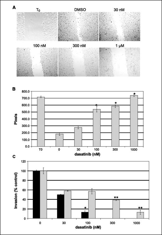 Figure 3. Dasatinib inhibits cell motility and invasion. A, wound-healing assays were done to determine the effects of dasatinib on inhibiting cell migration. SaOS-2 cells were plated in 12-well tissue culture plates, grown to confluency, and serum starved overnight in medium containing 0.1% FBS. Wounds were introduced on cell monolayers using a pipette tip. Cells were washed with 1× PBS to remove nonadherent cells and treated with DMSO or dasatinib in a dose-dependent manner for 24 h. Cell migration was visualized at ×10 magnification by light microscopy and photographed with a digital camera. B, width of voided area versus dasatinib dose concentration was graphed to express the degree of inhibition of cell migration. The number of pixels within the denuded area was the units used to show inhibition of cell migration induced by dasatinib. *, P < 0.001; n = 3. C, Matrigel invasion chambers were used to measure dasatinib inhibition of cellular invasion. SaOS-2 (black columns) and U-2 OS (gray columns) were treated with dasatinib in a dose-dependent manner. Cells were diluted in 500 μL of serum-free medium and placed over the inner chamber of the insert in a 24-well tissue culture plate, and 500 μL of complete medium were placed in the lower chamber of the insert. After incubating for 22 h, cells that invaded through the Matrigel were stained, visualized using light microscopy, photographed, and counted. Each experiment was done in triplicate. The mean values of invasive cells were graphed versus dasatinib concentration. *, P < 0.001; **, P < 0.01; n = 3. To confirm that invasion was measured rather than induction of apoptosis, trypan blue exclusion assays were done with SaOS-2 and U-2 OS cells treated in a dose-dependent manner with dasatinib for 24 h. Greater than 90% of the cells were viable after dasatinib treatment (data not shown).