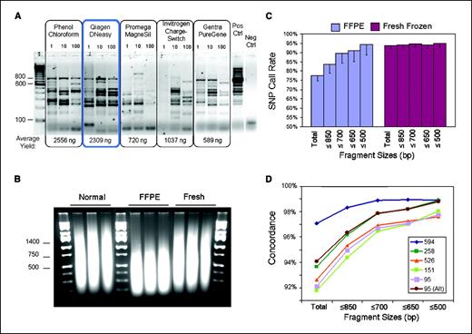 Figure 1. Performance of different FFPE DNA extraction methods and the Affymetrix GeneChip Mapping 500K assay. A, visualization of RAPD-PCR products on a 3% agarose gel comparing the undiluted DNA extraction (1), a 1:10 dilution of input DNA (10), and a 1:100 dilution of DNA (100) from one FFPE tissue (047) using five different extraction methods. The maximum fragment size in the extracted FFPE DNA samples reached 1,100 bp although only with sample dilution. The maximum reproducible fragment was 800 bp. DNA yield per extraction method is listed below. B, visualization of the PCR products during the Mapping 500K assay reveals a downshift in the distribution of fragment size, which is specific to the FFPE samples. C, SNP call rates are reduced in FFPE samples, but SNPs on smaller fragments are genotyped with equal efficiency from fresh and paraffin samples. The size dependence for higher call rates is specific to the FFPE samples. D, concordance between fresh frozen and matching FFPE samples is incrementally increased with fragment size selectivity, with larger dips in accuracy for sizes >700 bp. Exclusion of some regions (chromosomes 1q, 7p, 15, and 16q) shown to be genetically different between 95 fresh and FFPE samples causes an upshift in concordance for this sample (95 Alt versus 95).