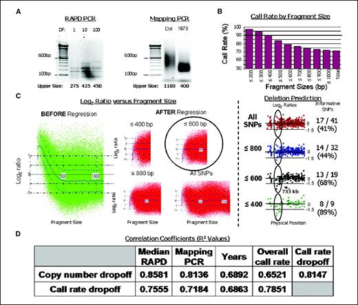 Figure 4. Prediction of FFPE sample performance. A, display of RAPD-PCR and Mapping assay PCR for a single breast tumor sample (1873). Maximum size amplicons from RAPD-PCR varied from 275 to 450 bp, with dilution factors (DF) of 1, 10, and 100. Although high-quality DNA had a maximum upper fragment size of ∼1,100 after PCR during the Mapping assay, this sample was well amplified only up to ∼400 bp. B, call rate by fragment size was monitored for the same sample, using a stringent confidence value threshold of 0.26. Call rates dropped <90% when excluding SNPs on fragment sizes >400 bp. C, copy number versus fragment size plots in CNAG_v2.0 show a strong influence by fragment size on copy number predictions before correction (left). Regression corrects this bias somewhat, and more and more stringent filters further correct this bias (middle). With a filter excluding SNPs on fragment sizes >600 bp, the mean copy number (blue line) is consistent regardless of fragment size, indicating that this sample requires a copy number filter at 600 bp. Log 2 ratios produced using various fragment size filters are displayed for a region containing a 733-kb deletion on part of chromosome X. Under “Informative SNPs,” the number of SNPs predicting a deletion with a log 2 ratio below −0.3 (considered to be “informative”) are listed to the left of the number of total SNPs within the deletion region that were retained during the fragment size filter. Below these values is the percentage of SNPs included in the analysis that were informative of the deletion. D, R2 regression values when the fragment size at which call rates drop <90% or the maximum fragment size that can be included in copy number analyses are compared with median maximum RAPD-PCR amplicon size, maximum Mapping PCR amplicon size, years of storage, or overall call rate (P ≤ 0.26) are displayed. PCR tests better predicted copy number performance than years of storage or overall call rate, and they were better predictors of genotype performance than years of storage was.