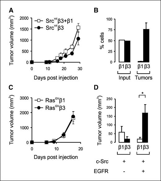 Figure 2. Specific cooperation of αvβ3 and primed c-Src stimulates tumor growth in a cell-autonomous fashion. A, points, average tumor volume of GESrcYFβ3 cells lacking (•) or expressing β1 (□) obtained from two independent experiments (n = 8) where 1 × 106 cells were injected; bars, SE. B, columns, quantification of integrin expression on cells isolated from four tumors of a 1:1 mix of 5 × 105 GESrcYFβ1 and GESrcYFβ3 cells. Bars, SE. Expression of human β1 (open columns) and human β3 integrins (filled columns) was determined by fluorescence-activated cell sorting before injection (“input”) or after one month of tumor growth (“tumors”). The fact that the percentage of GESrcYFβ1 and GESrcYFβ3 cells does not add up to 100% can be explained by the presence of stromal cells (lacking human β1 and β3 integrins). C, points, average tumor volume of GERasGVβ1 (□) and GERasGVβ3 cells (•) obtained from two independent experiments (n ≥ 7) where 1 × 106 cells were injected; bars, SE. D, columns, average tumor volume at 33 d after injection of GEβ1 (open columns) and GEβ3 cells (filled columns) containing the indicated expression constructs obtained from two independent experiments (n ≥ 12) where 1×106 cells were injected; bars, SE. *, P < 0.01, significant difference between mean values (Student's t test).