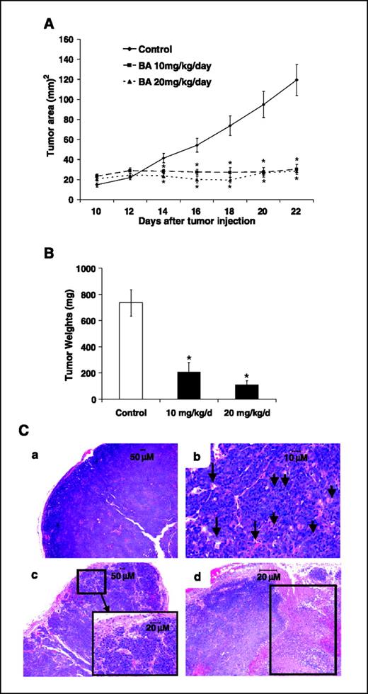 Figure 5. Antitumorigenic activity by betulinic acid in vivo. A, decreased tumor area. Athymic nude mice (10 per group) bearing LNCaP cells as xenografts were treated with corn oil (control) or betulinic acid in corn oil (10 or 20 ml/kg) every second day, and tumor areas were determined as described in Materials and Methods. B, tumor weights. After the final treatment, animals were sacrificed, and tumor weights were determined as described in Materials and Methods. *, P < 0.05, significantly decreased tumor areas or volumes. C, histopathologic evaluation of tumors. Tumors from corn oil (a and b) and betulinic acid (c and d) mice were fixed, stained with H&E, and examined histopathologically as described in Materials and Methods.