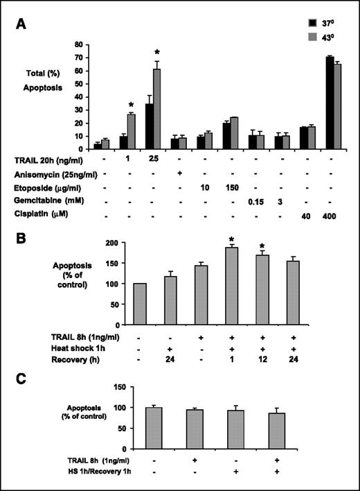 Figure 1. Heat stress potentiates apoptosis due to TRAIL, but not to chemotherapeutic agents, in malignant mesothelioma cells. A, heat stress (43°C for 60 min, recovery 60 min) enhances apoptosis due to TRAIL (1 or 2.5 ng/mL for 20 h) in M28 mesothelioma cells. Heat stress had no effect on apoptosis due to the ribotoxic agent anisomycin or to the DNA damaging agents etoposide, gemcitabine, or cisplatin. B, after activation of SPR by heat, the potentiation of apoptosis was maximal when TRAIL (1 ng/mL for 8 h) was added after a 1-h recovery and was still present after a 12-h recovery. C, in primary nonmalignant human mesothelial cells, heat stress (HS) had no effect on subsequent apoptosis due to TRAIL (1 ng/mL for 8 h). Columns, mean of at least three experiments done in triplicate; bars, SE. *, P < 0.05 versus TRAIL alone.