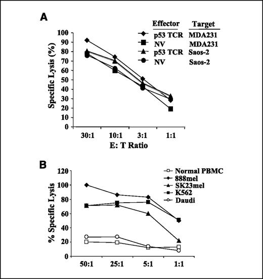 Figure 4. Killing of tumor cell lines by in vitro generated T cells. A, TCR-transduced (p53) or nontransduced (NV) T cells generated by coculture of HSCs with OP9-DL1 for 40 d were cocultured with 51Cr-labeled tumor cell line p53+ MDA231 or p53−Saos-2. 51Cr release was measured after 4 h of coculture. B, in vitro developed T cells from a 40-d coculture with OP9-DL1 were cultured with OKT3/IL-2 (14 d) to stimulate differentiation to CD8 single-positive cells. Fourteen d later, these cells were cocultured with 51Cr-labeled cells as indicated, and the percent lysis was determined at 4 h.