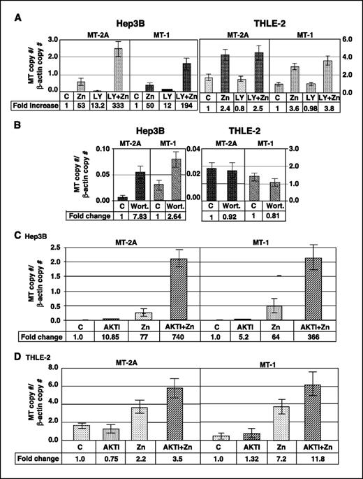 Figure 2. A, specific inhibitor of PI3K (LY294002) activates both basal and zinc-induced expression of MT-2A/MT-1 in HCC (Hep3B) cells but not in normal liver epithelial (THLE-2) cells. Cells were treated for 4 h with DMSO (C) or 50 μmol/L LY294002 (LY) for 1 h followed by ZnSO4 treatment (Zn; 50 μmol/L) for another 3 h. Control cells were treated with the vehicle (DMSO). DNase I–treated RNA was subjected to real-time RT-PCR. Each sample was assayed in triplicate. Columns, mean of three independent experiments; bars, SD. B, Wortmannin increased expression of MT genes in Hep3B cells but not in THLE-2 cells. Cells were treated with 100 nmol/L of Wortmannin (Wort.) for 3 h followed by real-time RT-PCR analysis. Each sample was assayed in triplicate. Columns, mean of three independent experiments; bars, SD. C and D, treatment of cells with AKT inhibitor (AKTI) increases expression of MT genes in Hep3B cells but not in THLE-2 cells. Cells were treated with 20 μmol/L of the inhibitor for 1 h followed by ZnSO4 (50 μmol/L) treatment for 3 h. Control cells were treated with the vehicle (DMSO). DNase I–treated RNA was subjected to real-time RT-PCR. Each sample was assayed in triplicate. Columns, mean of three independent experiments; bars, SD.