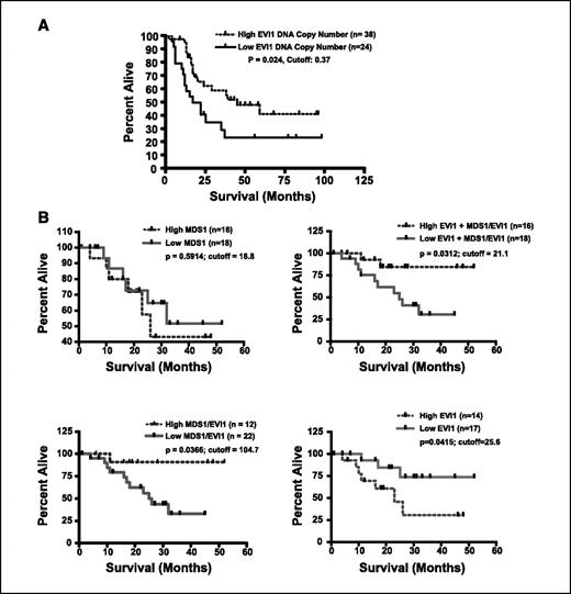 Figure 5. EVI1 and MDS1/EVI1 DNA correlate with good patient prognosis. A, increase in EVI1 DNA copy number is an indicator of good prognosis. Overall survival in patients (for patients where survival data were available) with high (>1 copy number increase) EVI1 copy number (n = 38) was significantly better (P < 0.03) than patients with low EVI1 copy number (n = 24). B, increase in EVI1 RNA expression is associated with an increased overall survival in ovarian cancer patients. Overall survival in stage III/IV serous epithelial ovarian cancer patients with high total EVI1 and MDS1/EVI1 (exon III primer assessing both EVI1 and MDS1/EVI1) or MDS1/EVI1 RNA levels was significantly better (P < 0.05) than patients with low total EVI1 and MDS1/EVI1 or MDS1/EVI1 RNA levels. Overall survival in stage III/IV serous epithelial ovarian cancer patients with high EVI1 (exon I primer assessing only EVI1) was significantly worse (P < 0.05) than patients with low EVI1 RNA levels.
