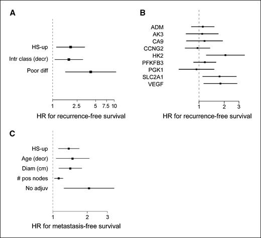 Figure 2. Cox multivariate analysis derived HRs with 95% CIs. A, variables used in the original publication of an independent HNSCC patient data set were entered in the model along with HS-up. HS-up was entered as a continuous variable (fractional rank varying from 0 to 1), and the HR reported represents the risk for an increasing HS-up quartile (the HR for the two ends of the spectrum was 14.83; 95% CI, 1.80−122.35). B, HR for the RNA expression of the individual genes used to derive the hypoxia metagene for a Cox multivariate analysis of recurrence-free survival in the independent HNSCC data set. No data were available for ENO1. C, variables used in the original publication in an independent breast cancer data set were entered into a Cox multivariate regression model along with HS-up. The HR for two ends of the HS-up spectrum was 3.58 (95% CI, 1.53−8.39).