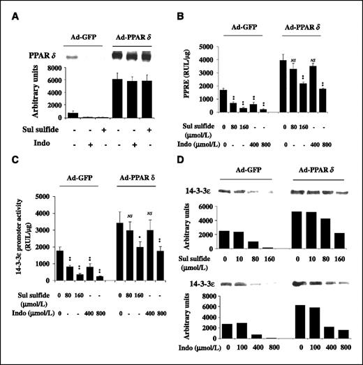 Figure 4. PPARδ overexpression restored 14-3-3ε expression. A, HT-29 cells were transfected with Ad-GFP or Ad-PPARδ for 24 h followed by treatment with sulindac sulfide (160 μmol/L) or indomethacin (800 μmol/L) for an additional 24 h. PPARδ proteins were determined by Western blotting. B to D, HT-29 transfected with Ad-GFP or Ad-PPARδ for 24 h followed by treatment of sulindac sulfide or indomethacin at indicated concentrations for an additional 24 h; PPRE (B) and 14-3-3ε (C) promoter activity were determined by luciferase expression. D, 14-3-3ε protein was determined by Western blotting. Each blot is representative of three experiments with similar results. NS, statistically nonsignificant; *, P < 0.05; **, P < 0.01.