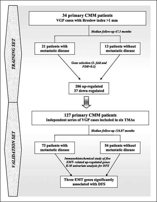 Figure 1. Representative diagram of the study profile. Metastatic disease was considered as end point for DFS. VGP, vertical growth phase; CMM, cutaneous malignant melanoma; EMT, epithelial mesenchymal transition; FDR, false discovery rate; DFS, disease-free survival; TMA, tissue microarray. K-M, Kaplan-Meier.