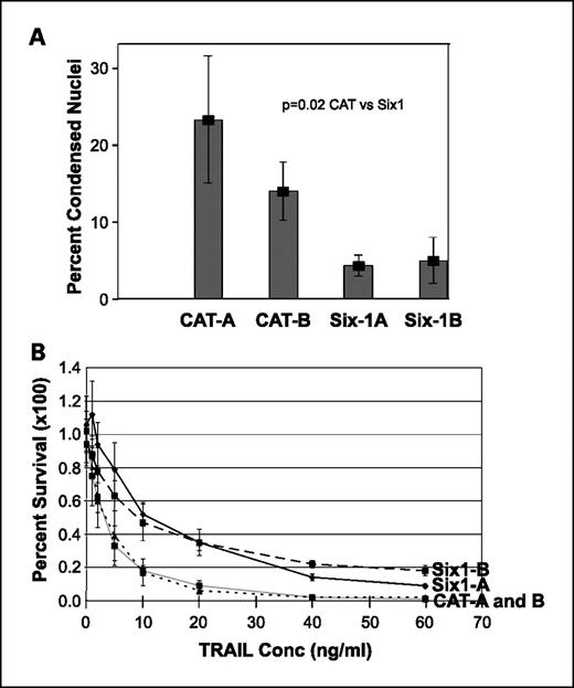 Figure 3. Six1 overexpression leads to a decrease in basal apoptosis and to resistance to TRAIL. A, percentage of cells with condensed nuclei in CaOV3-Six1 clones compared with CaOV3-CAT cells (P = 0.02 CAT versus Six1 clones). B, effect of 40 h of TRAIL on Six1-overexpressing CaOV3 and CAT control transfectants. Percentage survival was measured using the 3-(4,5-dimethylthiazol-2-yl)-5-(3-carboxymethoxyphenyl)-2-(4-sulfophenyl)-2H-tetrazolium assay.