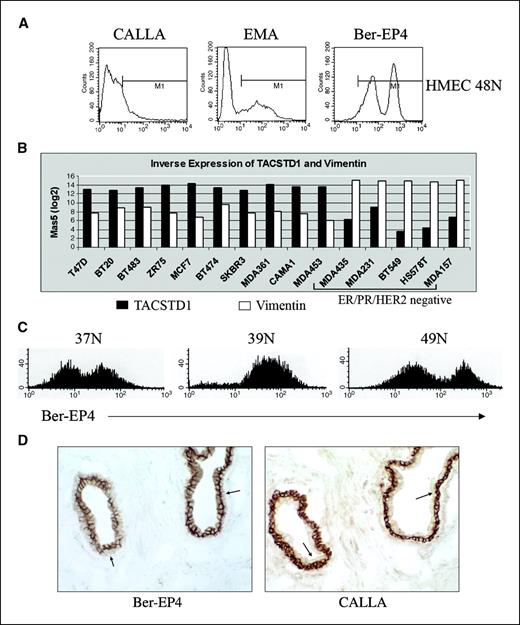Figure 1. Expression of cell surface antigens on breast epithelial cells. A, flow cytometric profile of primary normal mammary epithelial cells with antibodies to CALLA, EMA, and TACSTD1 (Ber-EP4). B, expression of TACSTD1 mRNA in a series of breast cancer cell lines. Columns, MAS5 data log2-transformed from a single array (Affymetrix Hu133plus) for each cell line. C, Ber-EP4 profile of three individual HMEC isolates. The typical profile showing two peaks was observed in 7 of 10 HMEC cultures from different reduction mammoplasties. The remaining three isolates yielded a single primary peak. D, normal breast tissue stained with the Ber-EP4 antibody (left) and a parallel section stained with the CALLA antibody (right). Note the inverse staining pattern for basal and luminal cells with these two antibodies, with the Ber-EP4 primarily staining the luminal cells and CALLA reacting with the basal cells.