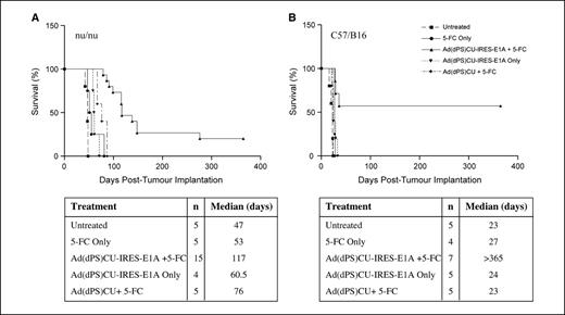 Figure 5. Kaplan-Meier survival curves. U87lacZ xenografts in athymic mice (A) and GL261 mouse glioma cells in C57/Bl6 mice (B). Animals were implanted with tumor cells and 10 d later were injected with the various viral recombinants, followed 24 h later by 5-FC treatment as described in Materials and Methods. Mice were monitored daily and were euthanized if they showed any signs of lethargy, significant neurologic morbidity, or severe weight loss. The experiment was terminated at 365 d after tumor implantation.