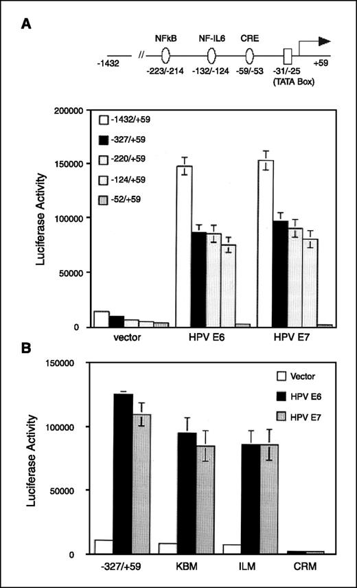 Figure 4. Localization of region of COX-2 promoter that mediates the effects of HPV16 E6 and E7 oncoproteins. A, schematic of the human COX-2 promoter. C33A cells were transfected with 0.9 μg of a series of human COX-2 promoter-luciferase constructs (−1,432/+59, −327/+59, −220/+59, −124/+59, and −52/+59). HPV E6 and HPV E7, cells that also received 0.9 μg of expression vector for HPV16 E6 and E7 oncoproteins. B, C33A cells were transfected with 0.9 μg of a series of human COX-2 promoter-luciferase (−327/+59, KBM, ILM, and CRM). KBM, −327/+59 COX-2 promoter construct in which the NF-κB site was mutagenized; ILM, −327/+59 COX-2 promoter construct in which the NF-IL-6 site was mutagenized; CRM, −327/+59 COX-2 promoter construct in which the CRE was mutagenized. Black columns, cells that also received 0.9 μg of expression vector for HPV16 E6; gray columns, cells that also received HPV16 E7 oncoprotein. A and B, all cells received 0.2 μg of pSVβgal. The total amount of DNA in each reaction was kept constant at 2 μg by using empty vector. Reporter activities were measured in cellular extract 24 h following transfection. Luciferase activity represents data that have been normalized to β-galactosidase activity. Columns, mean (n = 6); bars, SD.