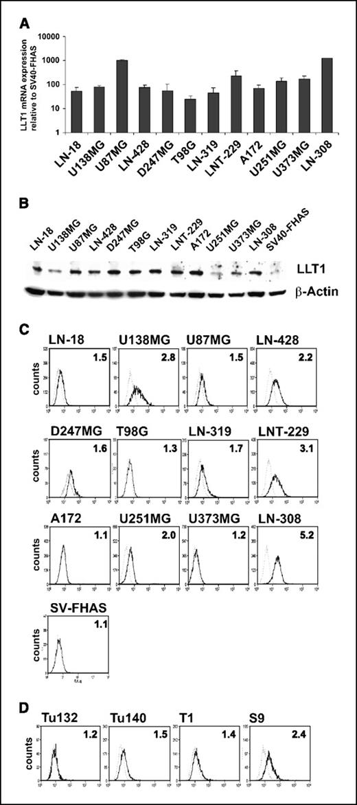 Figure 1. Human malignant glioma cells express LLT1 in vitro. A, LLT1 mRNA expression was assessed by quantitative reverse transcription-PCR. B, LLT1 protein levels in whole cell lysates were assessed by immunoblot using β-actin as a reference. C, LLT1 protein levels exposed at the cell surface were measured by flow cytometry. Thick line, LLT1; dotted line, isotype control. D, SFI values for primary glioblastoma cell cultures.