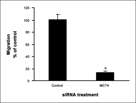Figure 6. Silencing of MCT4 results in decreased migration of MDA-MB-231 cells in vitro. MDA-MB-231 cells were seeded onto Transwell filters following transfection with either control (MCT5) siRNA or MCT4 siRNA. Data are representative of two independent experiments. *, P < 0.05, Student's t test.