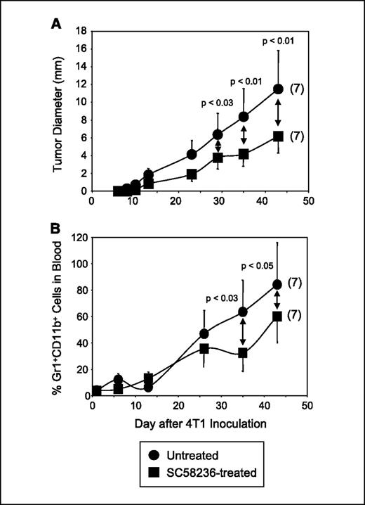 Figure 5. 4T1 tumor-bearing BALB/c mice treated with SC58236 have reduced primary tumor growth and fewer MDSC. A, BALB/c mice were inoculated with 4T1 tumor cells on day 0 and simultaneously started on SC58236 treatment, which was continued through day 21. Primary tumors were measured with a calipers. B, mice from A were bled and their levels of Gr1+CD11b+ MDSC were determined by flow cytometry. Numbers in parentheses, number of mice per group. Data are representative of three independent experiments.