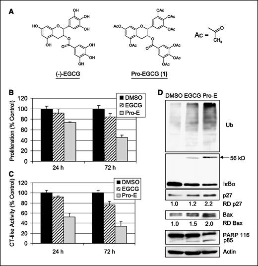 Figure 1. Antiproliferative and proteasomal chymotrypsin-inhibitory activities of Pro-EGCG (1). A, chemical structures of (−)-EGCG and Pro-EGCG (1). B, proliferation-inhibitory effect of Pro-EGCG (1) (Pro-E) on MDA-MB-231 breast cancer cell line. MDA-MB-231 cells were treated every 24 h for 72 h with 50 μmol/L of (−)-EGCG or Pro-EGCG (1), using DMSO as a control. After 24 or 72 h, medium was removed and cells were treated with MTT solution as described in Materials and Methods. C, inhibition of proteasomal chymotrypsin-like activity in MDA-MB-231 cells. Cells were treated with 50 μmol/L of the indicated compound for 24 or 72 h, harvested, and analyzed for the chymotrypsin-like activity, as described in Materials and Methods. D, Western blot analysis for accumulation of ubiquitinated proteins, IκB-α, ubiquitinated IκB-α (p56), p27, Bax, and PARP in the above prepared cell extracts after 72-h treatment. Relative density (RD) is compared with the control.