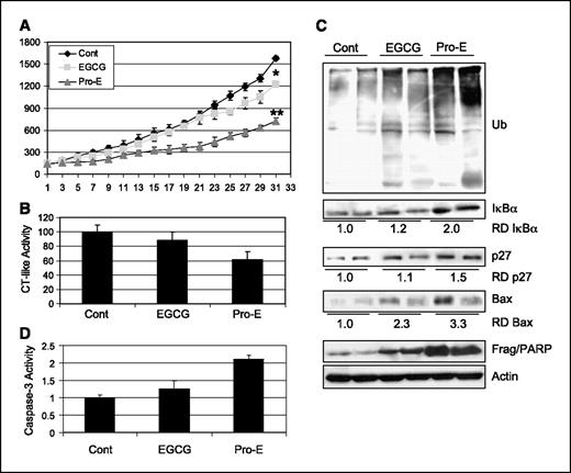 Figure 3. The antitumor activity of Pro-EGCG (1) is associated with inhibition of the proteasomal chymotrypsin-like activity and induction of apoptosis in vivo. Female nude mice bearing MDA-MB-231 tumors were treated with the control solvent (Cont), (−)-EGCG, or Pro-EGCG (1) (Pro-E) at 50 mg/kg/d for 31 d. A, inhibition of MDA-MB-231 tumor growth by Pro-EGCG (1). Points, mean tumor volume in each experimental group containing 10 mice; bars, SD; *, P < 0.05; **, P < 0.01. B to D, effects of Pro-EGCG (1) at the end point of the experiment. Tumors were collected after 31 d of treatment and the prepared tissues were analyzed by the proteasomal chymotrypsin-like activity assay (B), Western blotting (C), and caspase-3/caspase-7 activity assay (D). Inhibition of proteasome activity (B) and accumulation of p27, IκB-α, and Bax proteins (C) were found in tumors treated with Pro-EGCG (1) (two representative tumor samples are shown), compared with mice treated with the control solvent alone or (−)-EGCG. Caspase-3/caspase-7 activation and a cleaved PARP fragment (∼55 kDa; C) were also observed. Relative density is represented as an average of two samples compared with the control.